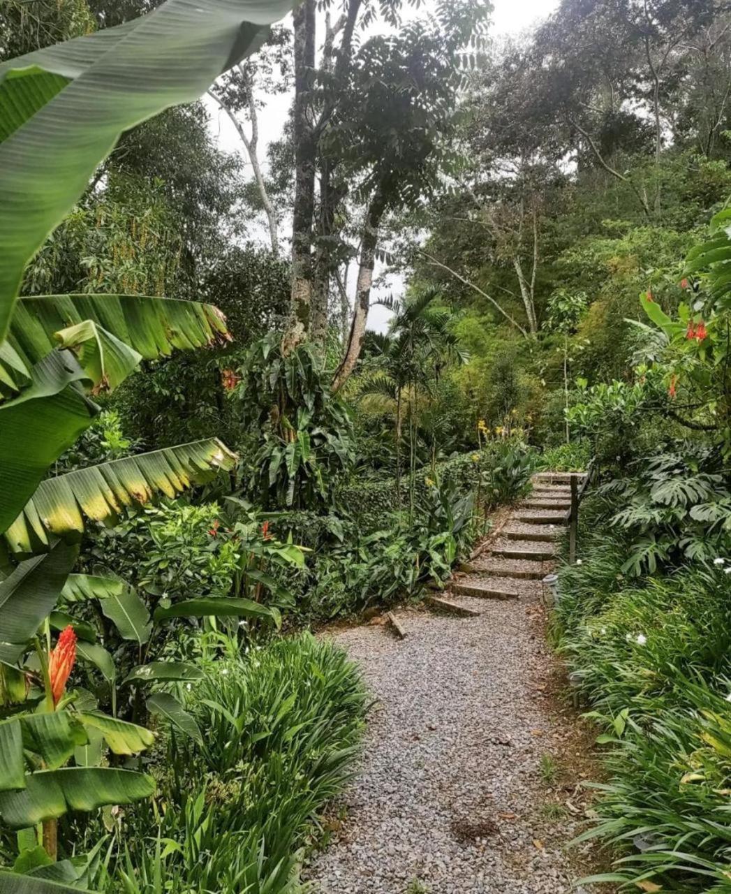 El Toucanet Lodge & Restaurante Copey Buitenkant foto