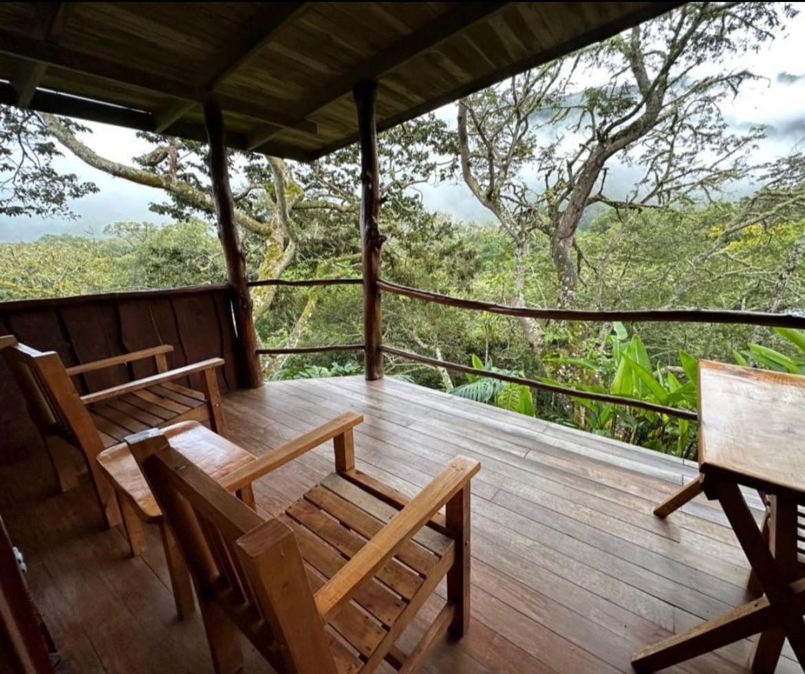 El Toucanet Lodge & Restaurante Copey Buitenkant foto