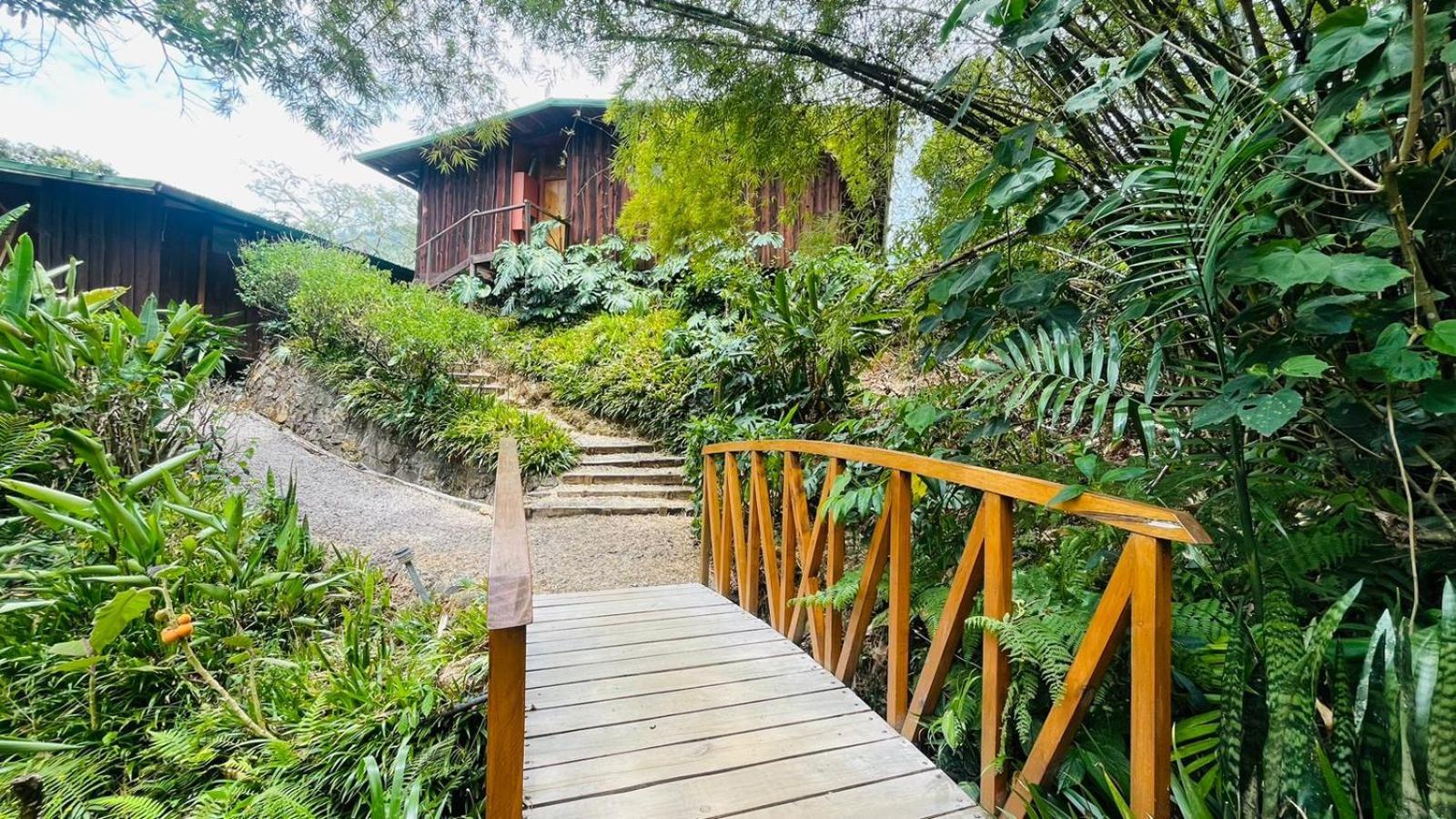 El Toucanet Lodge & Restaurante Copey Buitenkant foto