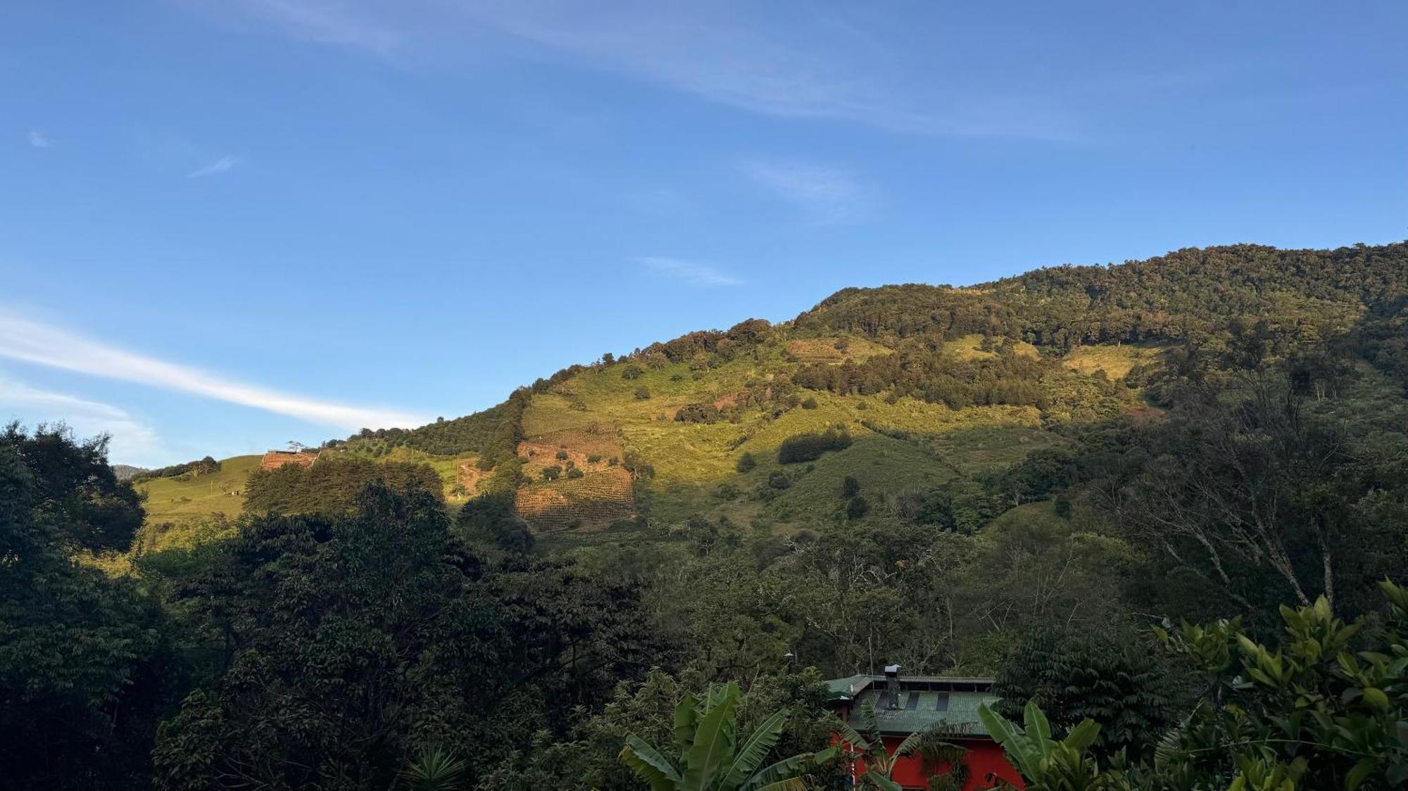 El Toucanet Lodge & Restaurante Copey Buitenkant foto