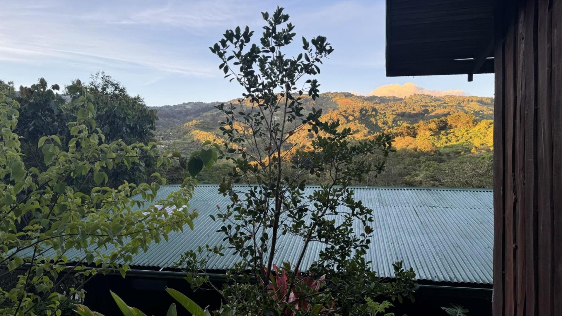 El Toucanet Lodge & Restaurante Copey Buitenkant foto